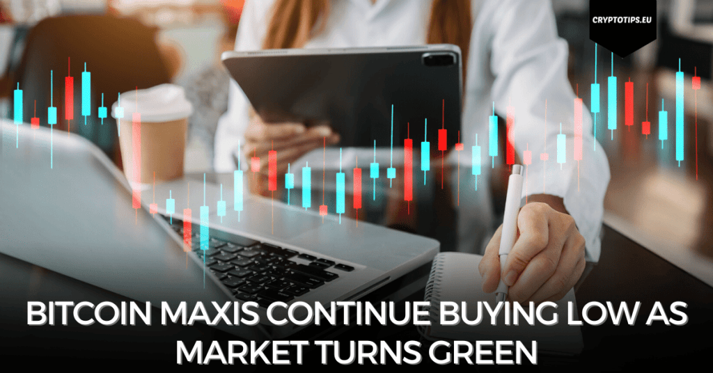 Bitcoin Maxis Continue Buying Low As Market Turns Green