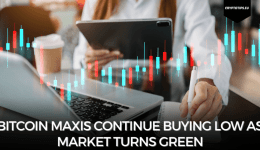 Bitcoin Maxis Continue Buying Low As Market Turns Green