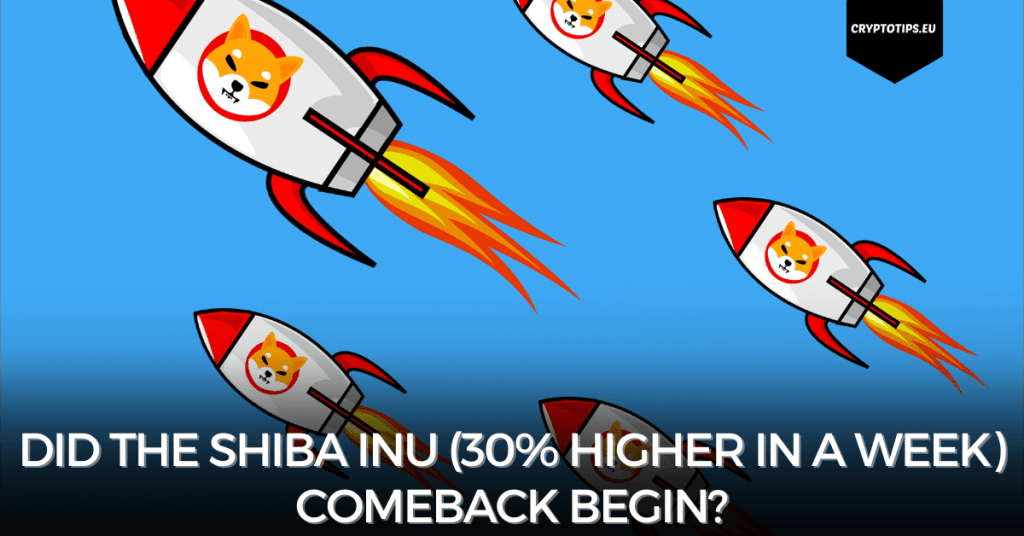 Did the Shiba Inu (30% higher in a week) comeback begin?