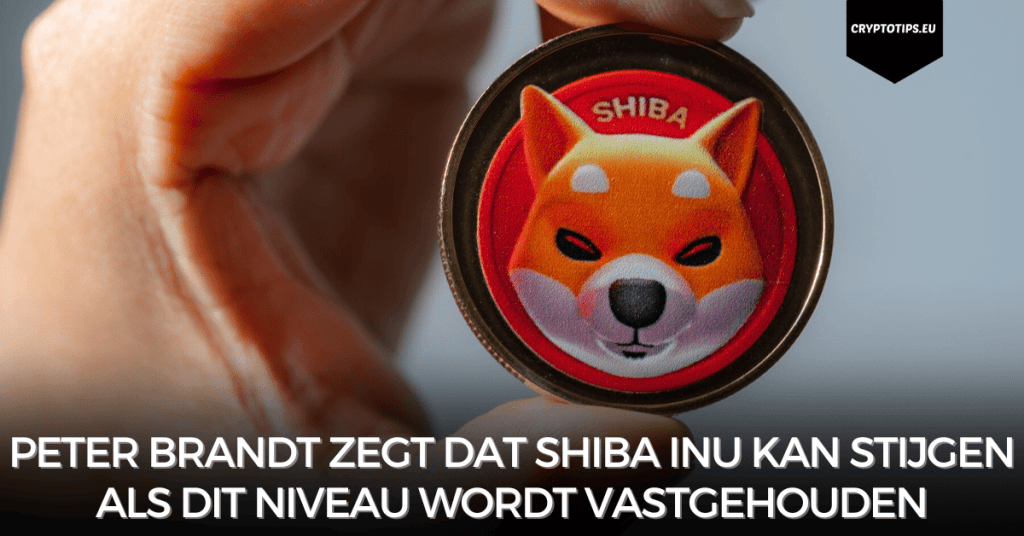 Peter Brandt zegt dat Shiba Inu kan stijgen als dit niveau wordt vastgehouden