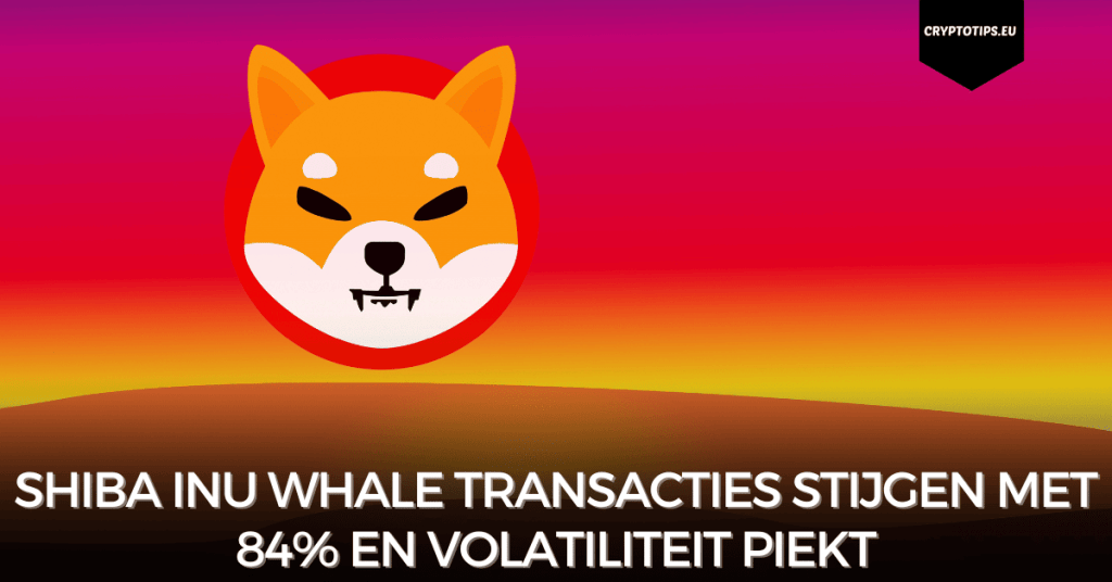 Shiba Inu whale transacties stijgen met 84% en volatiliteit piekt