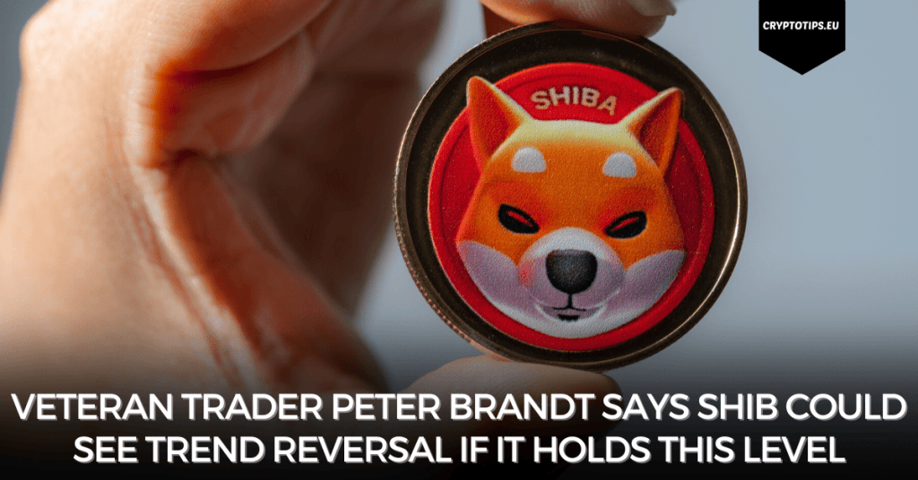 Veteran Trader Peter Brandt Says SHIB Could See Trend Reversal if it Holds this Level