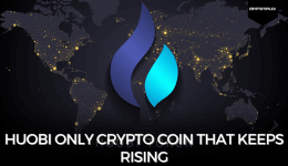 Huobi only crypto coin that keeps rising