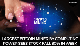 Largest Bitcoin Miner By Computing Power Sees Stock Fall 80% In Week