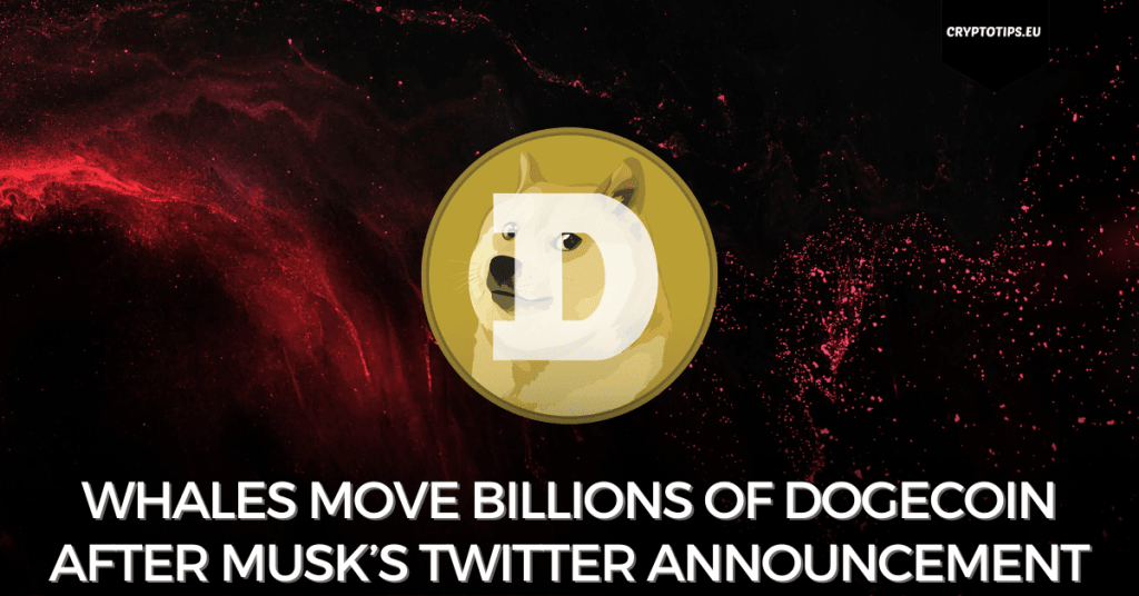 Whales move billions of Dogecoin after Musk’s Twitter announcement