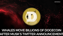 Whales move billions of Dogecoin after Musk’s Twitter announcement