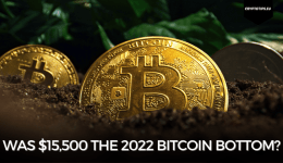 Was $15,500 the 2022 Bitcoin Bottom?