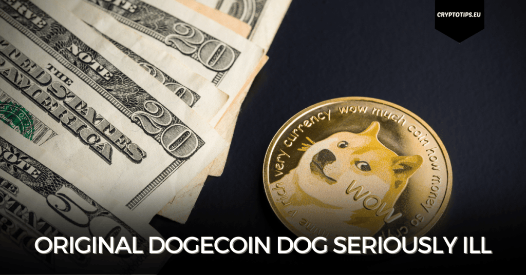 Original Dogecoin Dog Seriously Ill