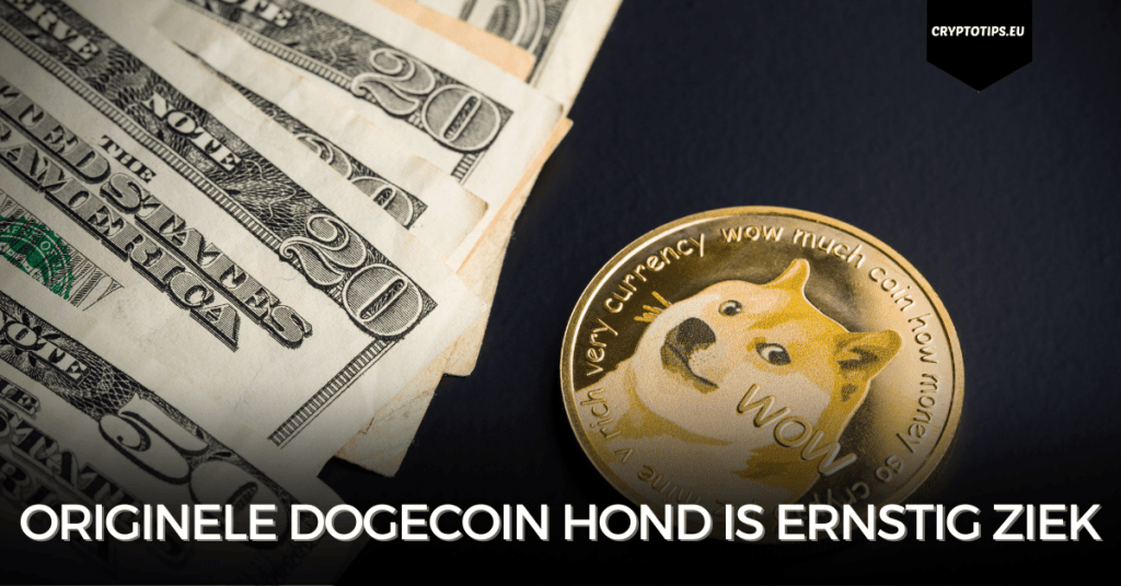 Originele Dogecoin hond is ernstig ziek