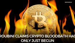 Roubini Claims Crypto Bloodbath Has Only Just Begun