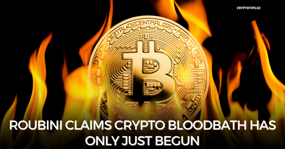 Roubini Claims Crypto Bloodbath Has Only Just Begun