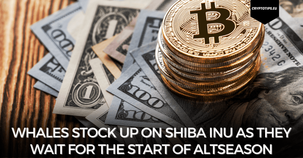 Whales stock up on Shiba Inu as they wait for the start of Altseason