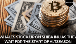 Whales stock up on Shiba Inu as they wait for the start of Altseason