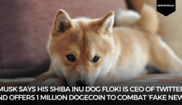 Musk says his Shiba Inu dog Floki is CEO of Twitter and offers 1 million Dogecoin to combat ‘fake news’