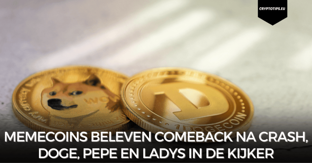 Memecoins beleven comeback na crash, Doge, Pepe en Ladys in de kijker