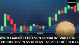 Crypto aandelen leven op nadat Wall Street Bitcoin boven $30k duwt, Pepe schiet hoger