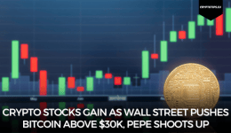 Crypto Stocks Gain As Wall Street Pushes Bitcoin Above $30k, Pepe Shoots Up