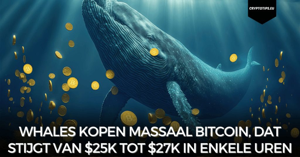 Whales kopen massaal Bitcoin, dat stijgt van $25k tot $27k in enkele uren