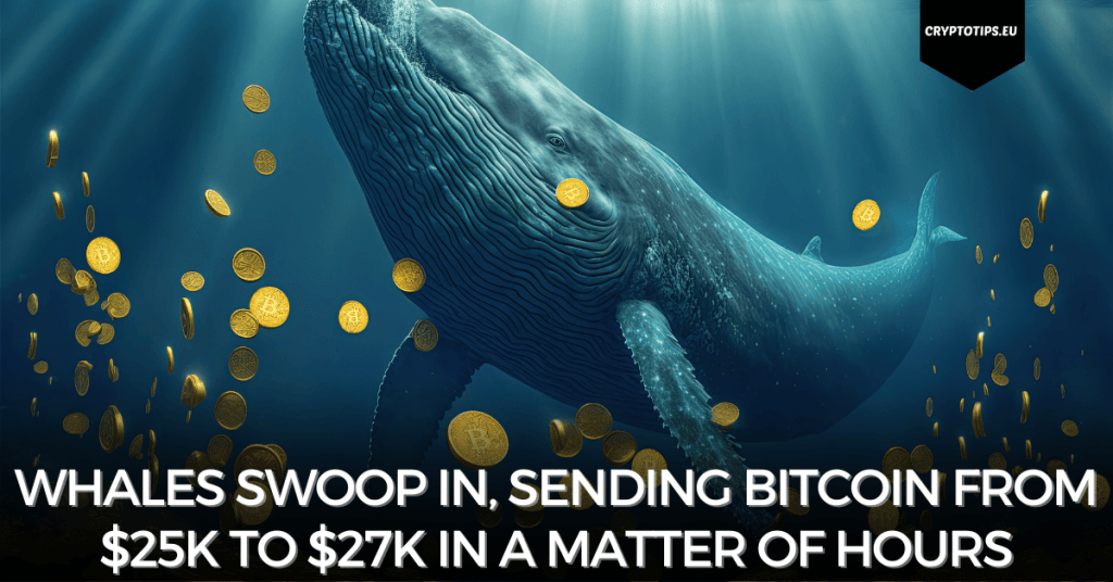 Whales swoop in, sending Bitcoin from $25k to $27k in a matter of hours