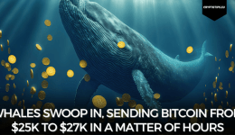 Whales swoop in, sending Bitcoin from $25k to $27k in a matter of hours