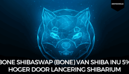 Bone ShibaSwap (BONE) van Shiba Inu 5% hoger door lancering Shibarium