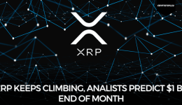 XRP keeps climbing, analists predict $1 by end of month