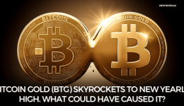 Bitcoin Gold (BTG) Skyrockets to New Yearly High. What Could Have Caused it?