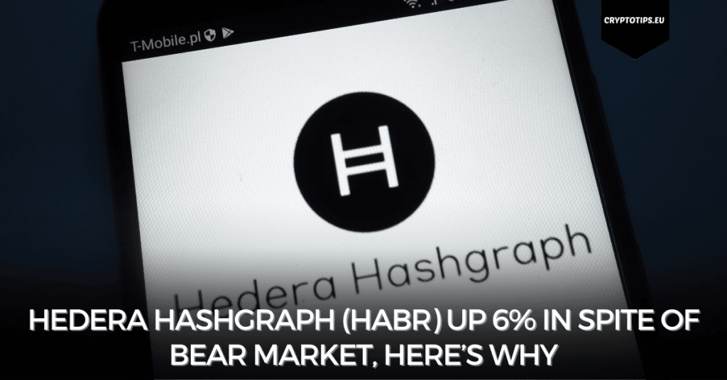 Hedera Hashgraph (HABR) Up 6% In Spite of Bear Market, Here’s Why