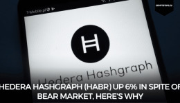 Hedera Hashgraph (HABR) Up 6% In Spite of Bear Market, Here’s Why