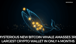 Mysterious new Bitcoin Whale amasses 3rd largest crypto wallet in only 4 months