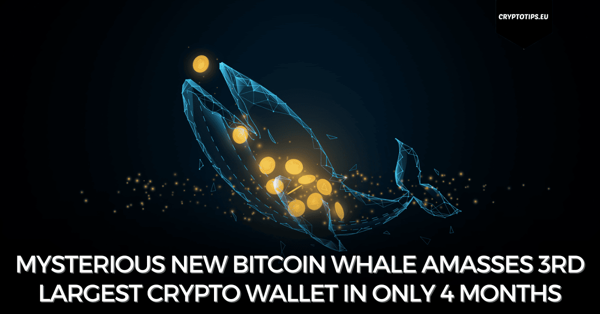 Mysterious new Bitcoin Whale amasses 3rd largest crypto wallet in only 4 months