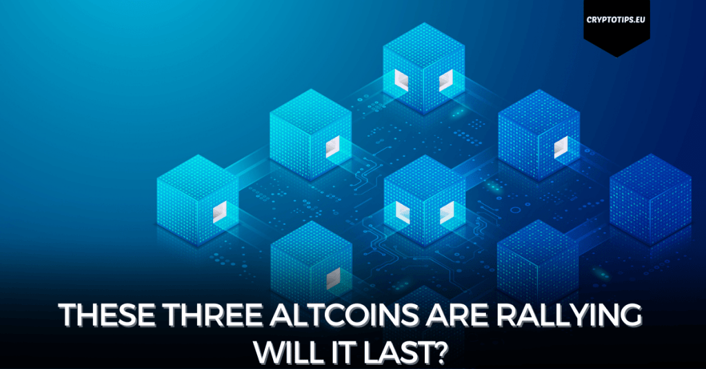 These three altcoins are rallying – Will it last?