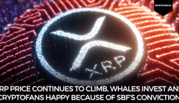 XRP price continues to climb, whales invest and cryptofans happy because of SBF’s conviction