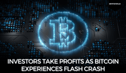 Investors take profits as Bitcoin experiences flash crash