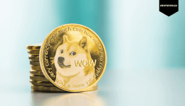 Elon Musk is still a Dogecoin HODLer