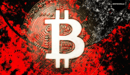 Bitcoin flash crash and reconstruction of famous Belgian crypto murder