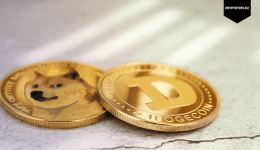 Dogecoin rises today and the EU approves a ban on anonymous crypto wallets