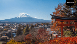 Could Bank of Japan crash Bitcoin next week