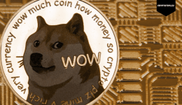 News about Doge has negative effect on the price of Doge