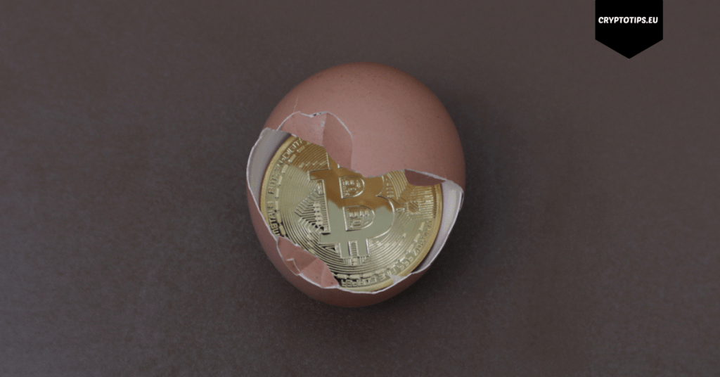 Price of American eggs rises faster than the price of Bitcoin