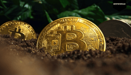 Record Bitcoin ETF inflows turn market around