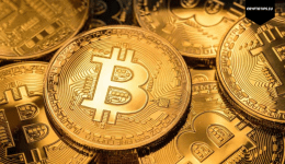 GenZ kiest voor Altcoins, Boomers voor Bitcoin aandelen