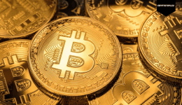 GenZ prefers Altcoins while Boomers invest in Bitcoin-related stocks