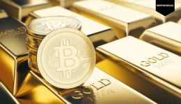 Is the Bitcoin bullrun of 2024-2025 coming to an end