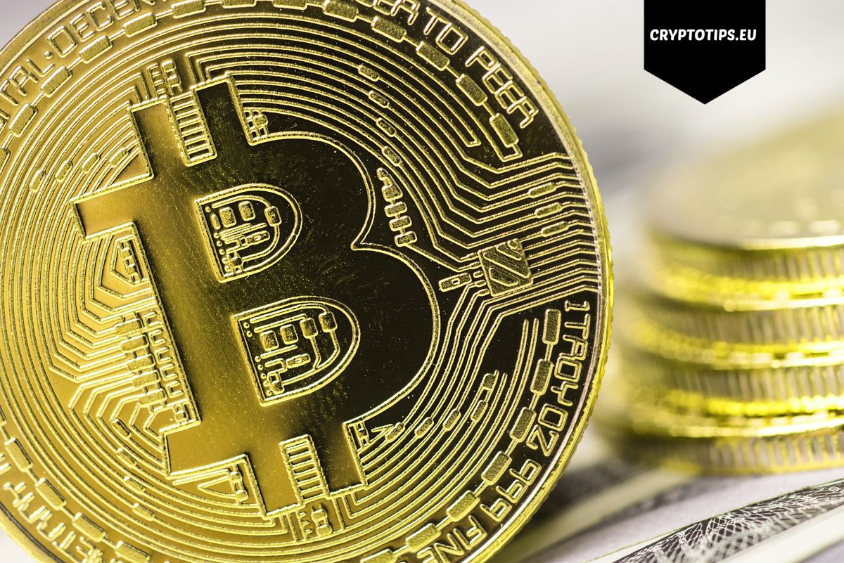 Bitcoin paniek breidt uit. Wat verwacht ik voor de korte termijn