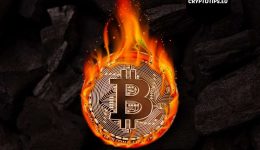 Cathie Wood follows Peter Brandt’s example and turns bearish on Bitcoin