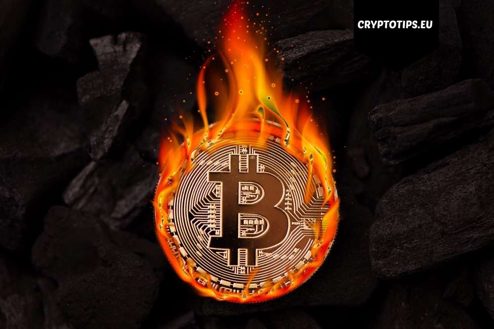 Na Peter Brandt wordt nu ook Cathie Wood vrij bearish over Bitcoin