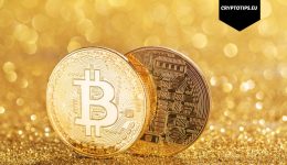 Altcoins houden stand ondanks somber sentiment