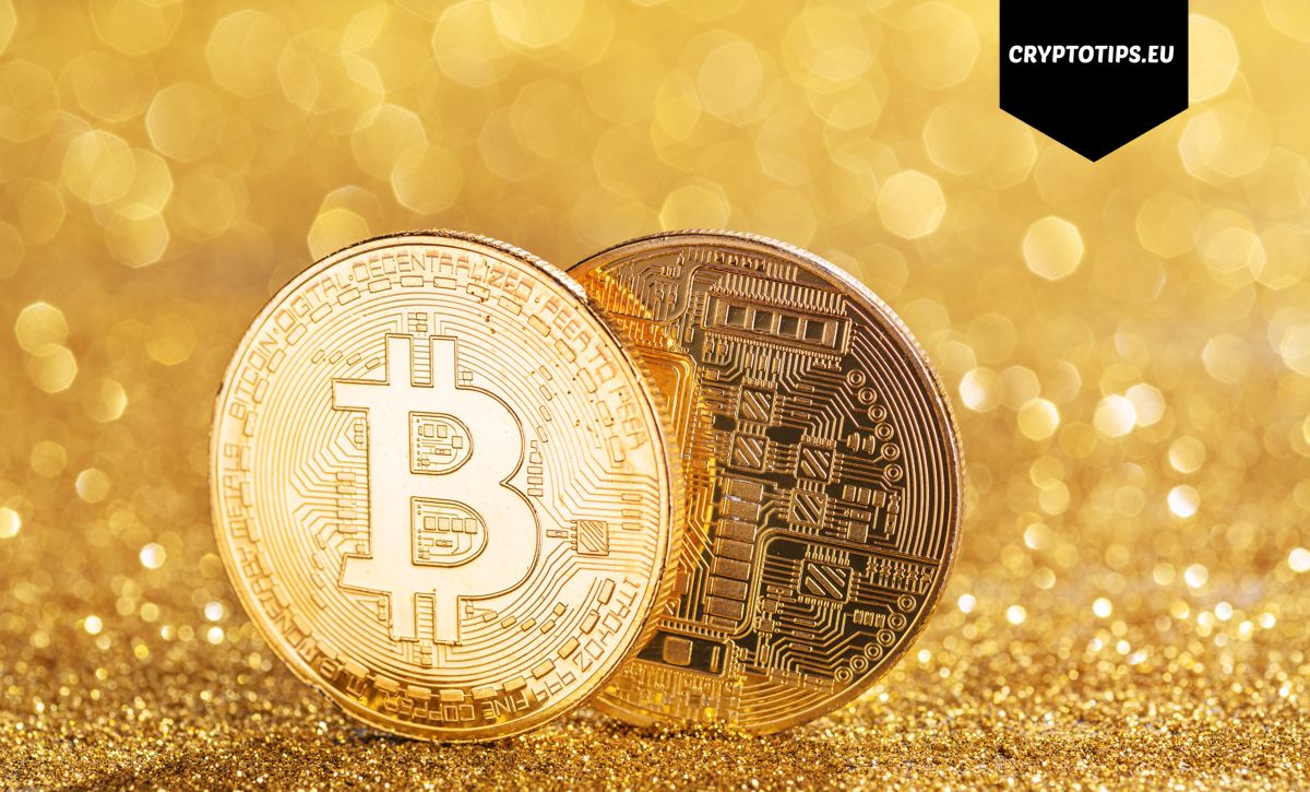 Altcoins houden stand ondanks somber sentiment