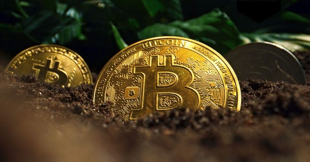 Leveraged trading kwam heel wat crypto beleggers duur te staan in November